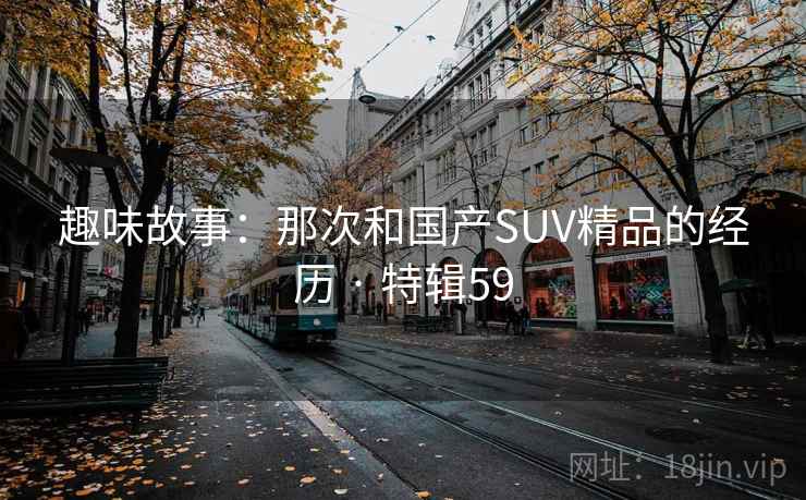 趣味故事：那次和国产SUV精品的经历 · 特辑59  第2张
